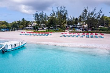 Harbour Lights - Barbados Beach Lounger & Turtle Snorkel Tour Combo