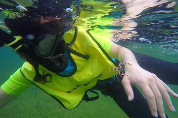 Snorkeling Lesson for Kids and Adults in Fajardo, Puerto Rico