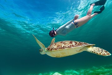 Snorkel with Turtles and Cenotes