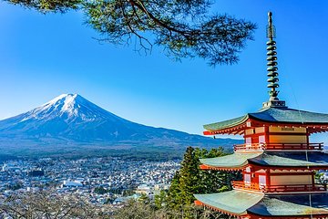 Mt. Fuji Area All Must-Sees Private Chauffeur Tour with a Driver (Tokyo DEP.)