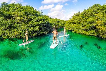Cenote Xplorer - All Included Private Paddleboard & Snorkel Tour To Casa Cenote