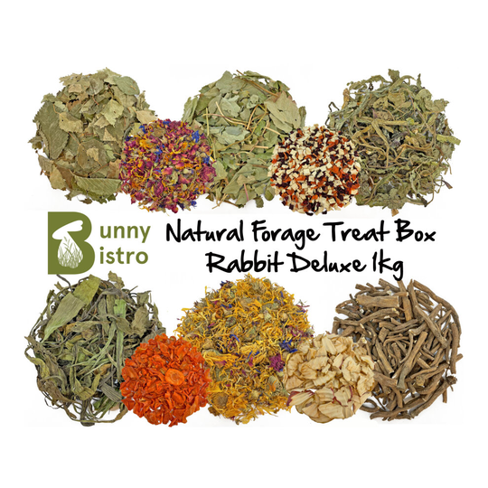 (Rabbit Deluxe (1kg)) Bunny Bistro Natural Forage Treat Box - Botanical Natural Food