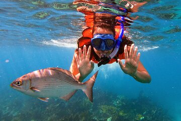 Save 9.99%! Snorkel TWO Coral Reefs on a 2022 SNORKEL ONLY Boat! All Equipment Included!