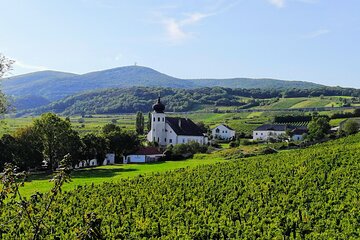 Private Vienna Woods Wine Tour