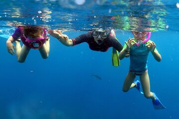 Snorkeling Day at Catalina island on the Catamaran with lunch