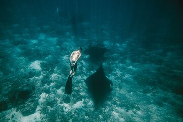 Snorkeling and Freediving Trip around Nusa Penida