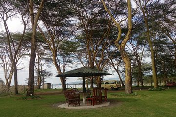 ONE DAY 2 LAKES SAFARI, Nakuru National park & Lake Naivasha