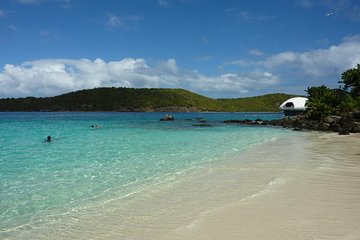 Vi Top Taxi & Tours USVI-Snorkeling at Coki Beach & Coral World