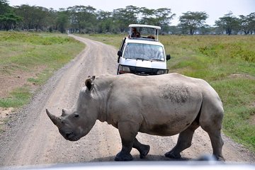 Nairobi National Park, Giraffe center & Kazuri beads factory Guided Day Tour