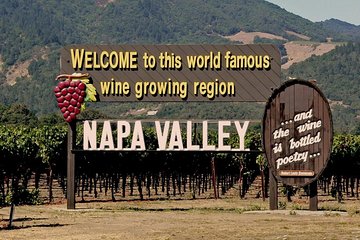 Napa Pure Fascination Wine Tour from San Francisco by Private Minivan