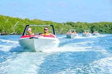 Jungle Tour Adventure: Speed Boat Tour and Snorkeling (Shared Speed Boat)