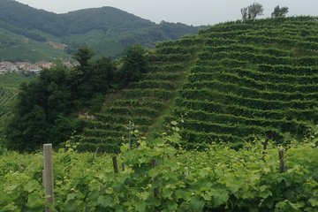 Prosecco Wine Tour With Tiramisu' From Venice