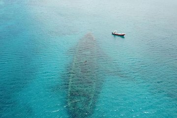 Snorkel and Exclusive Beach Exploration in Antigua