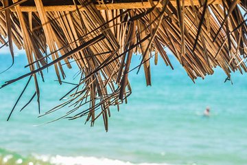 Private Custom Tour of Martinique