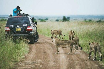 Nairobi Park 6.a.m Elephant/giraffe Sanctuary & Lunch Carnivore Restaurant