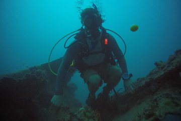 Scuba and snorkeling instructions and tours.