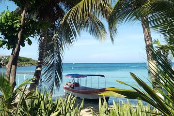Reef snorkeling tour