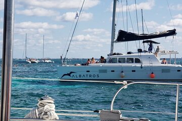 Escape Catamaran Puerto Morelos & Snorkeling