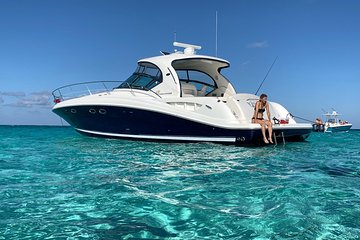 Private Luxury Half Day Stingray City, Snorkeling and Starfish Beach Tour