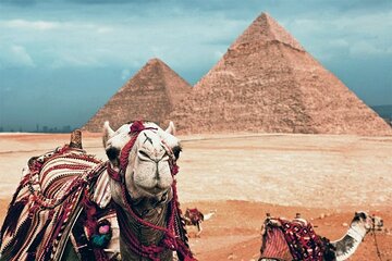 Overnight trip to Cairo from Dahab by flight