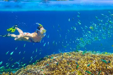 Private 3-Hour Snorkeling Tour on Glass Bottom Boat