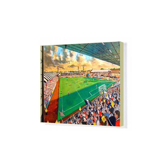 (20"x16" (50x40cm) Canvas Print) Love Street Stadium Fine Art - St Mirren Football Club (Canvas Print)