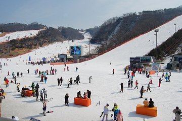Full-Day Ski Package with Transportation from Seoul