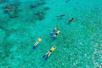 Amazing Basic Snorkel Experience In Cancún