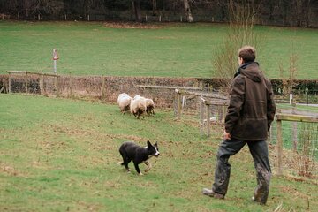This is Wales - a living landscape and cultural experience