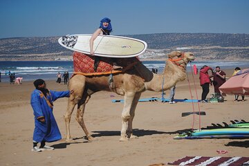 A Day Surf Lesson