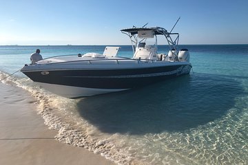 Snorkel with the Green Turtles of Green Cay Bahamas