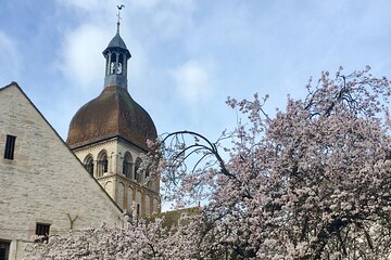 Small group guided tour - Beaune 2h