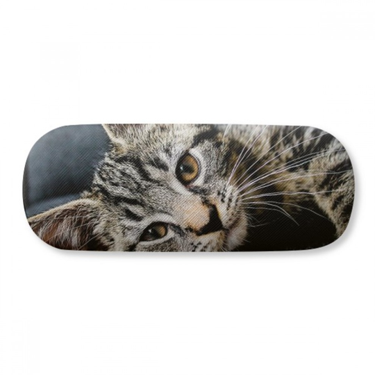 Cat Stripes Kitty Animal Relax Adorable Glasses Case Eyeglasses Hard Shell Storage Spectacle Box