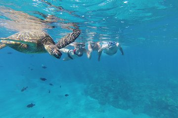 3 hour Makena Group Kayak Snorkel Tour w/Free Photos
