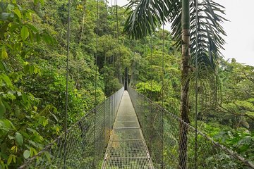 Essential Costa Rica - Package with Guanacaste / 10 days