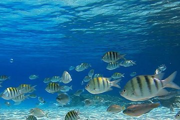 St Thomas Discover Scuba Diving