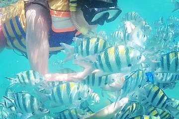 Save 15.00%! Snorkeling Tour In Gili Nanggu