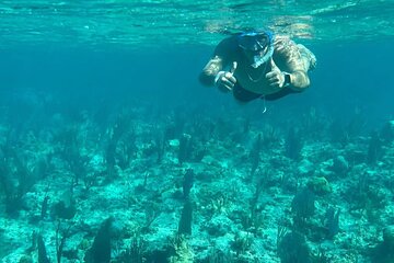 Swimming And Snorkeling Shared Excursion
