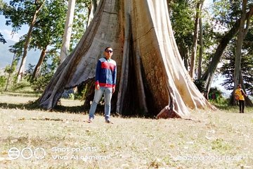 Lombok Safari Tour