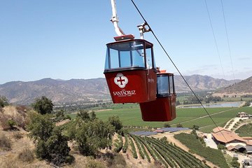 Private Tour into the Heart of Chilean Wine Country: Santa Cruz & Viu Manent