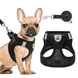 Dog Cat Cat Toy Harnesses Henna Dog Clothes Puppy Clothes Dog Outfits Pink Blue Black Costume for Girl and Boy Dog Polyester Solidwood S M L Lightinthebox