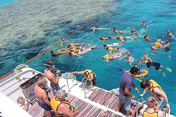 Snorkeling trip in Sharm El Sheikh
