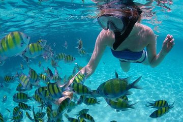 Cabo San Lucas Marine Park Snorkeling Tour with MANTA