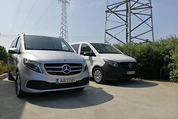 Private Van Transfer from and to the airport OPO