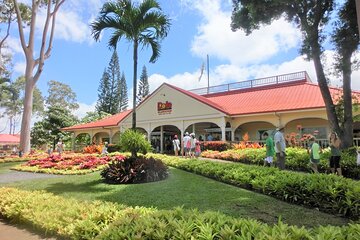 Oahu Island Tour - East Coast to Dole Plantation with Leonard's Malasada