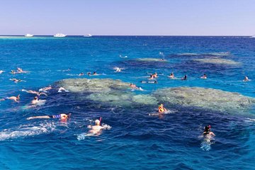 Snorkeling Day tour by boat to Tiran Island included Lunch