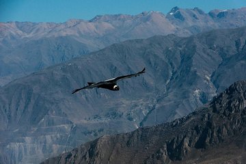 Colca Canyon - A private car/driver/guide
