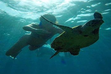 Bali Private Snorkeling At Blue Lagoon Beach & Waterfall