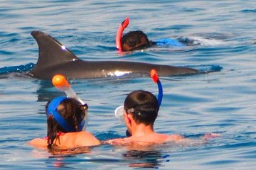 Full Day Dolphin House Royal VIP Snorkeling Sea Trip & Water Sport - Hurghada