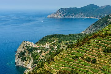 Shore Excursion from Livorno Port: Private Full day Tour Cinque Terre and Pisa